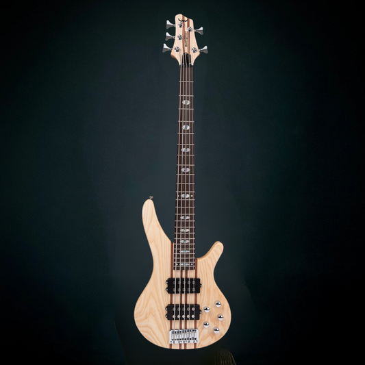 Bullfighter Bass Starter Kit